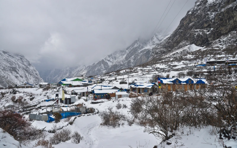 Langtang Village Now: Everything You Need To Know