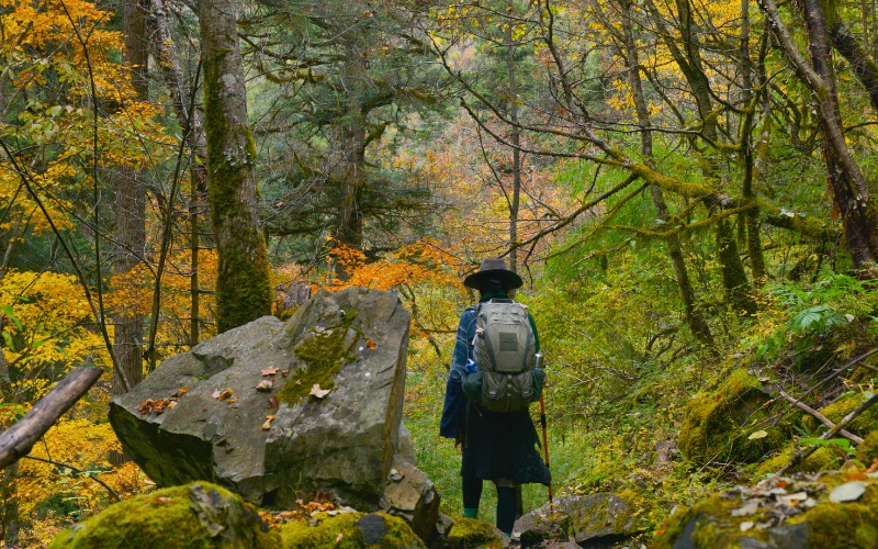 Trekking in Nepal for Beginners